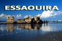 Essaouira infos sur la ville et les golfs